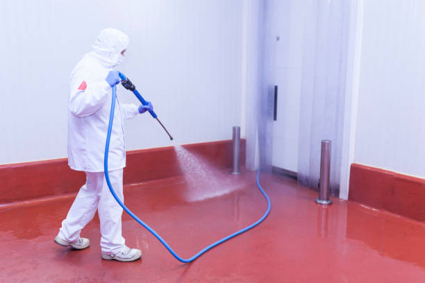 Best Graffiti Removal  in Santa Venetia, CA
