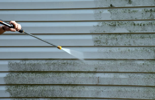 Best Roof Washing  in Santa Venetia, CA